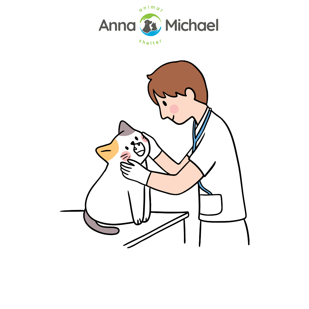 A Week of Comfort (Bedding & Hygiene)