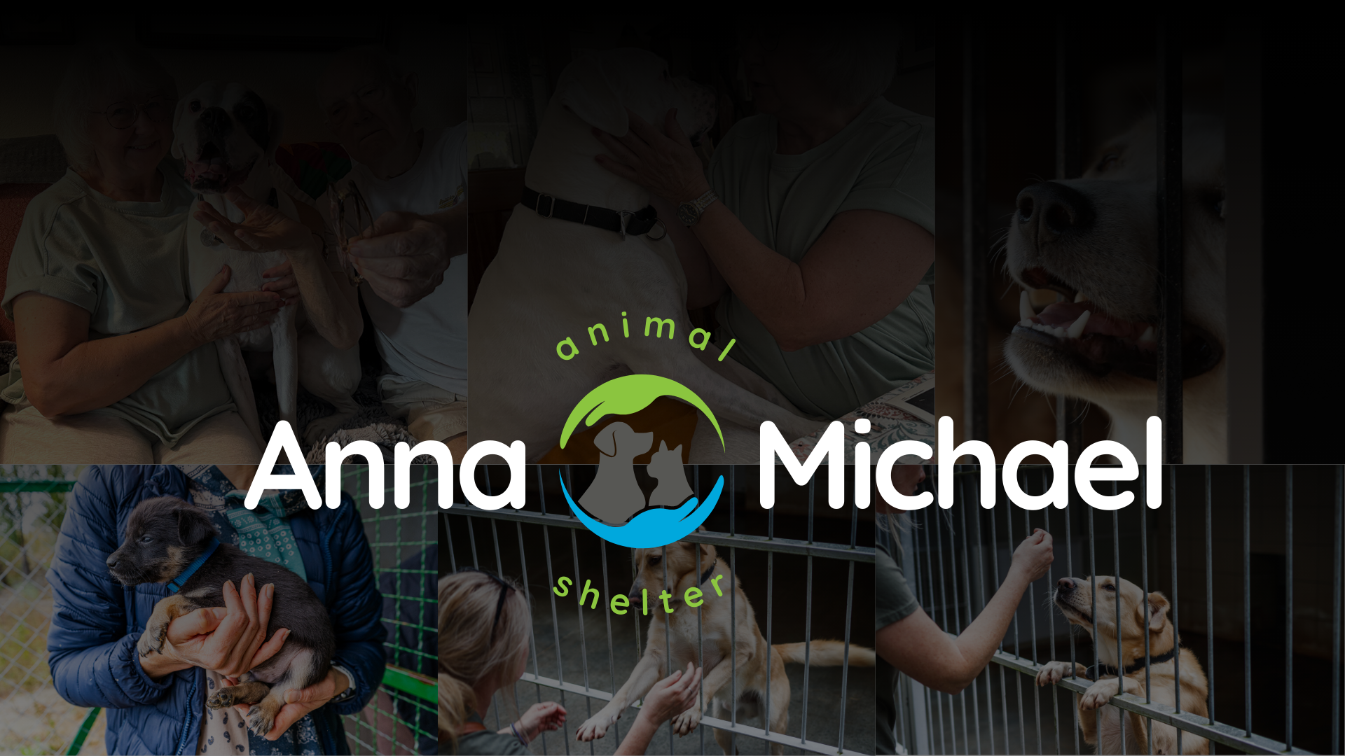 Daily Protector Membership